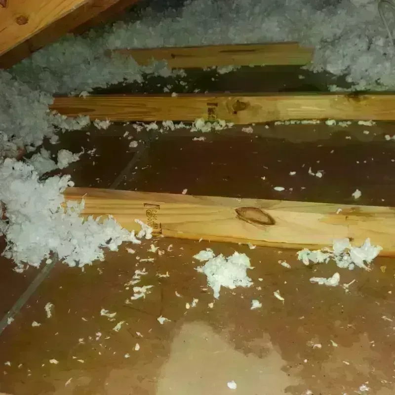 Attic Water Damage in Perry, GA