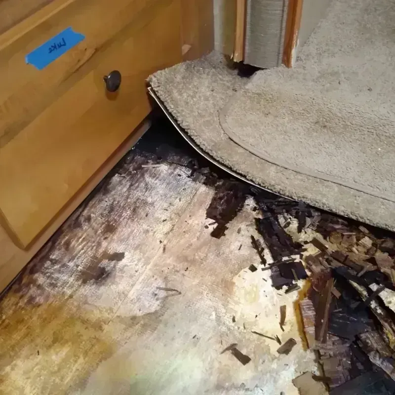 Wood Floor Water Damage in Perry, GA